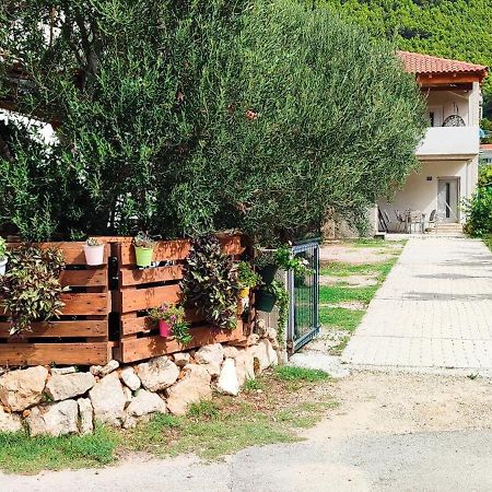 Apartmani Maslina Žuljana Dış mekan fotoğraf
