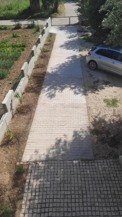 Apartmani Maslina Žuljana Dış mekan fotoğraf