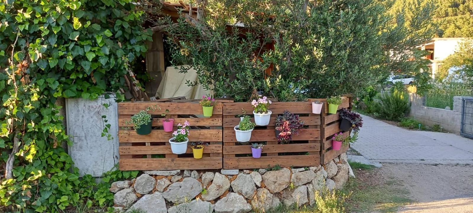 Apartmani Maslina Žuljana Dış mekan fotoğraf