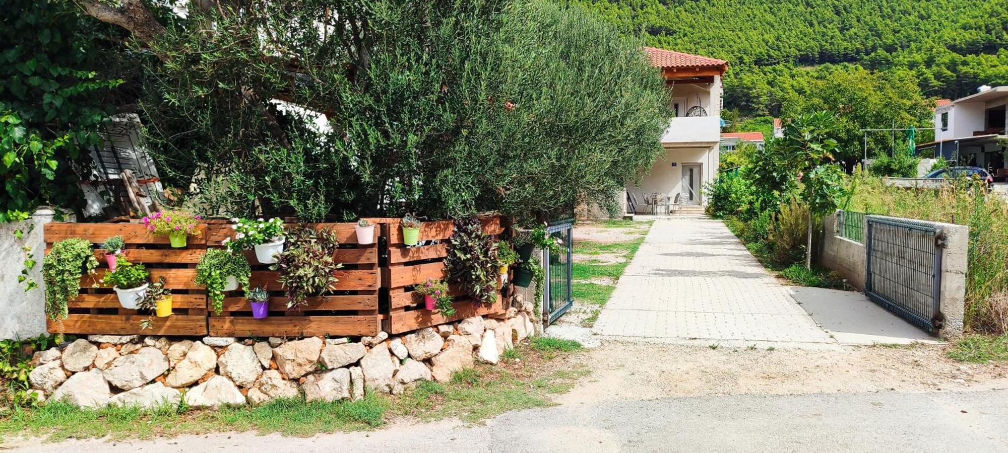 Apartmani Maslina Žuljana Dış mekan fotoğraf