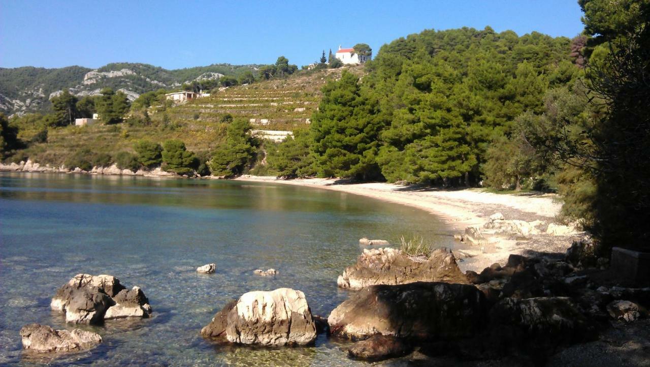 Apartmani Maslina Žuljana Dış mekan fotoğraf