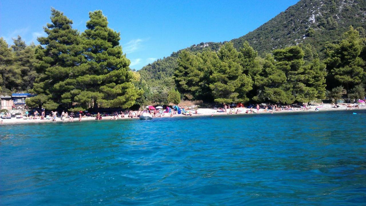 Apartmani Maslina Žuljana Dış mekan fotoğraf