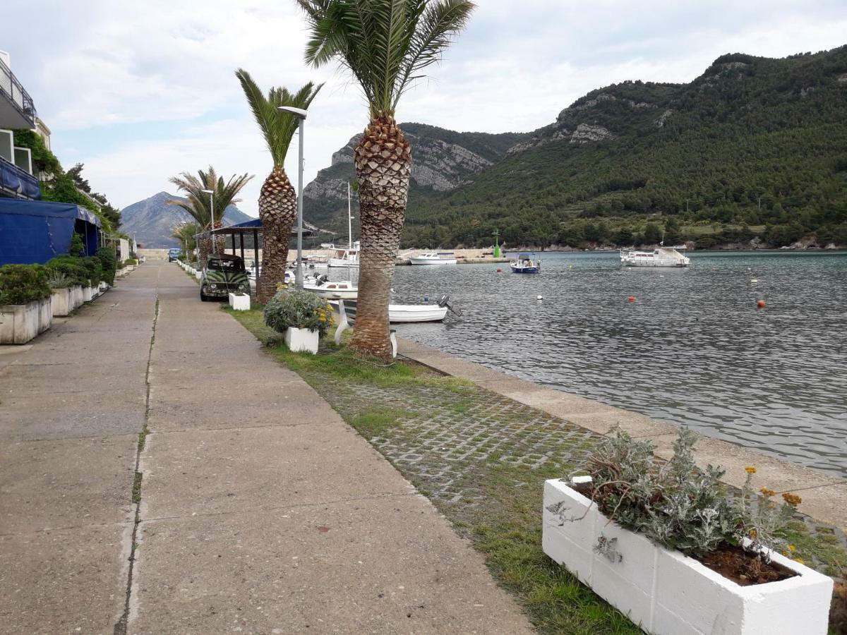 Apartmani Maslina Žuljana Dış mekan fotoğraf