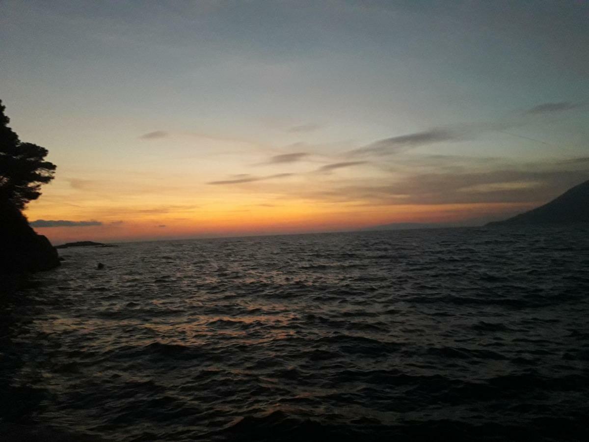 Apartmani Maslina Žuljana Dış mekan fotoğraf